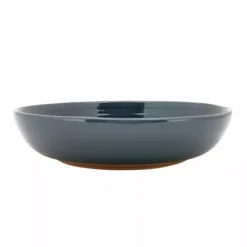 Food Network™ Farmstead Dinner Bowl Blue -Cheap The Dine Nest Store unnamed file 370