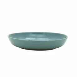 Food Network™ Farmstead Dinner Bowl Blue -Cheap The Dine Nest Store unnamed file 373